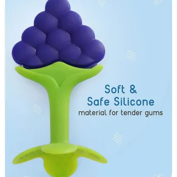 Baby Silicone Fruit Teether & Fruit Feeder Combo - Blue Fruit teether & Pink Fruit Feeder - MultiColor - NeonateCare India